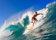 PG电子试玩-库里，当国王的权杖遭遇黄蜂，巨星价值在关键时刻绽放