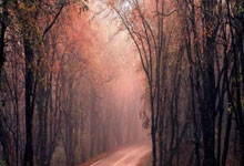 PG平台-绿茵场上的凯尔特人，意甲焦点战中的一波流艺术与山西队的启示