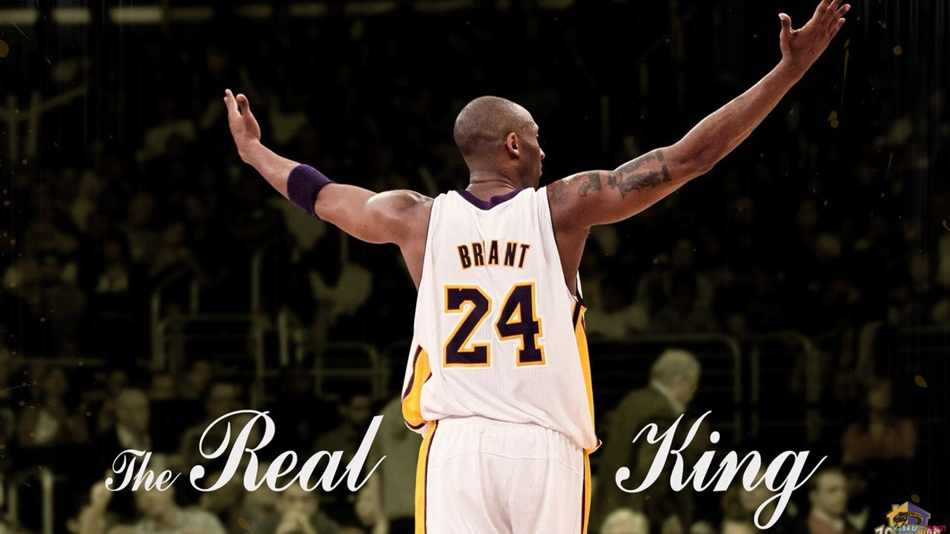 范弗利特引领攻防风暴,广厦火力全开压制鹈鹕